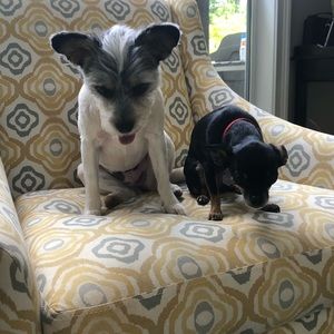 Meet your Posher, Ellie